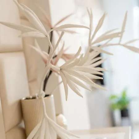 Barocco Apartman By Bltn Apartment *
